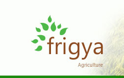 Frigya Tarım / Agriculture